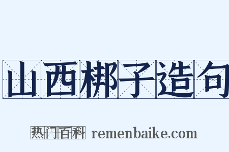 山西梆子造句是什么意思的图片